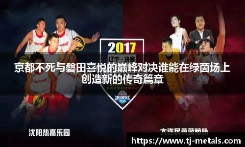 v66体育